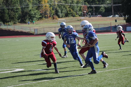 12065710 1071979212821123 2055082803215217112 n